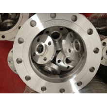 ANSI Stainless Steel Pipe Fitting Flange